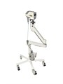 Evoray GynoScan V1
