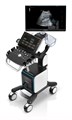 Mindray Consona N9