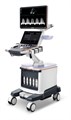 Mindray Recho R9